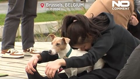 Woofstock, pour les chiens et leurs amis à deux pattes.