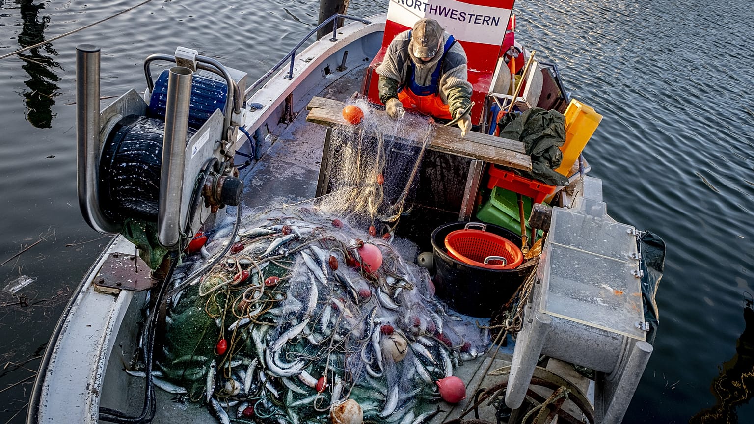 EU-Landwirtschaftsminister einigen sich auf Fangqouten für Ostsee: Einzig Fagqouten für Hering steigen deutlich