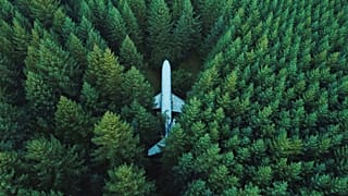 So should you be choosing to offset your flight emissions or are there other options to make your journey greener?