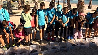22 tortues sont sur le point d’être relâchées, plage d’Almassora, Espagne, le 22.10.2024