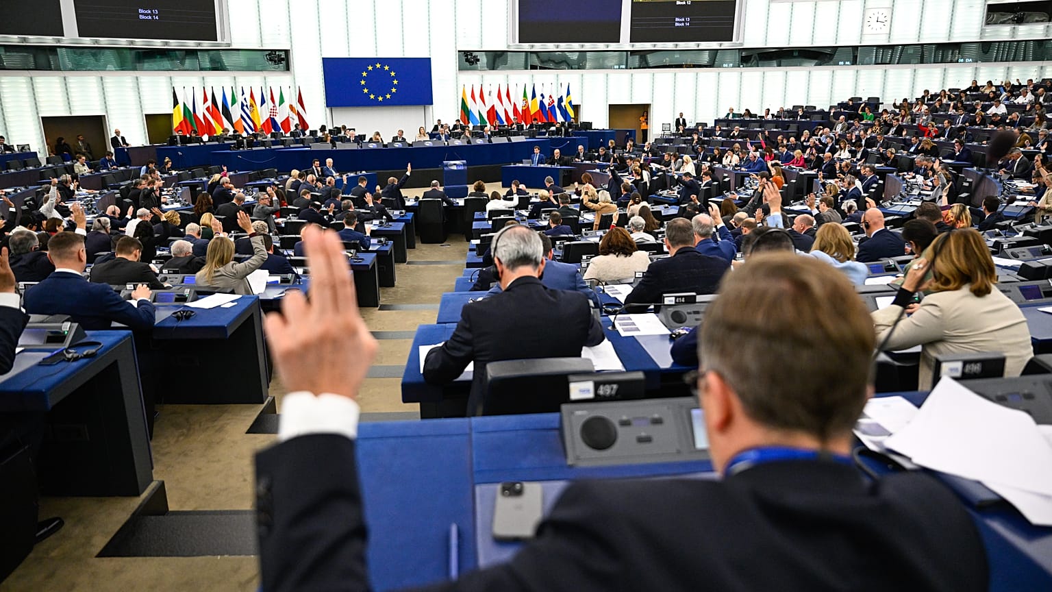Reformun hızlı bir şekilde hayata geçirilmesine karşı çıkanların başında, yasal çerçevenin ancak kapsamlı bir değerlendirmeden sonra değiştirilmesini savunan liberaller, yeşiller ve sosyalistler geliyordu.