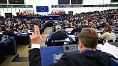 Reformun hızlı bir şekilde hayata geçirilmesine karşı çıkanların başında, yasal çerçevenin ancak kapsamlı bir değerlendirmeden sonra değiştirilmesini savunan liberaller, yeşiller ve sosyalistler geliyordu.