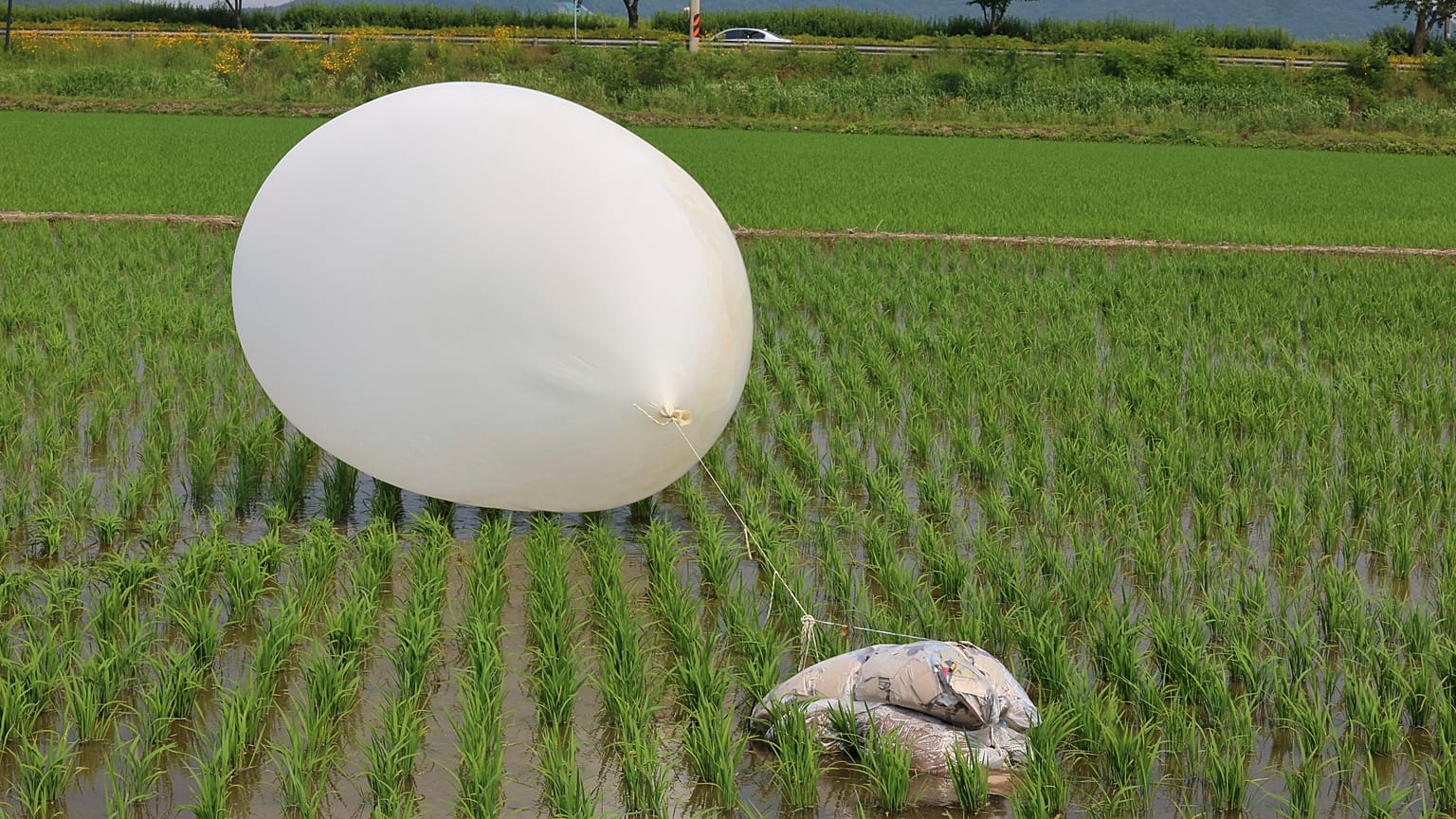 ARQUIVO: Um balão enviado pela Coreia do Norte é visto num campo de arroz em Incheon, Coreia do Sul, 10 de junho de 2024