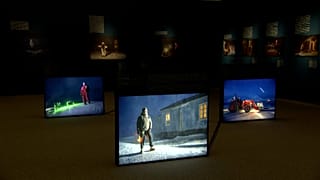 Des clichés de l'exposition « Étoiles nocturnes de l'Arctique » à Budapest