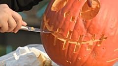Le plus grand zoo de Slovaquie met en place un thème d'Halloween pour préparer les animaux à l'hiver