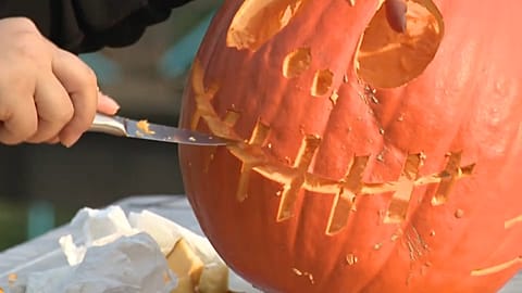 Le plus grand zoo de Slovaquie met en place un thème d'Halloween pour préparer les animaux à l'hiver