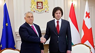 Viktor Orban trifft den Regierungschef von Georgien