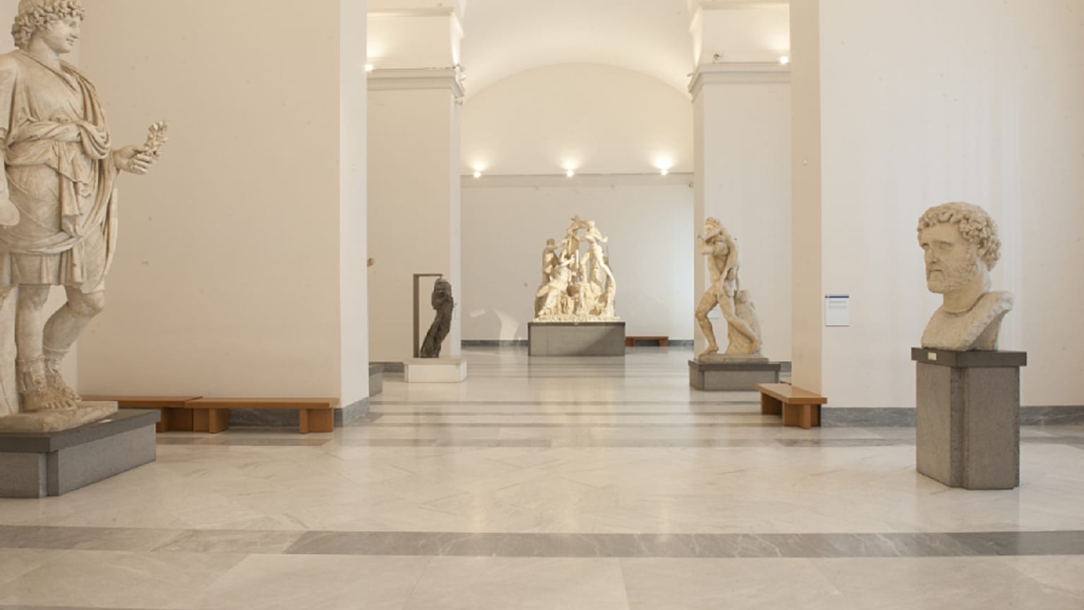 MANN'da Sala del Toro Farnese