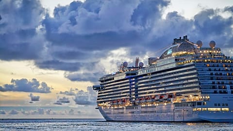 With 84 per cent of baby boomers and Gen Xers and 81 per cent of millennials planning to return to sea, cruises remain a dominant and enduring travel choice. 
