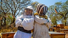 Watch: The bee angels safeguarding millions of bees in Mexico 