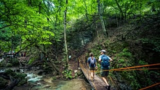 Wandern
