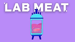 La viande cultivée en laboratoire pourrait-elle bientôt faire son arrivée dans les supermarchés ?