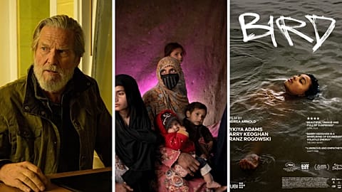 Jeff Bridges in 'The Old Man', an image from Le Prix Carmignac du photojournalisme and Andrea Arnold's new film 'Bird'