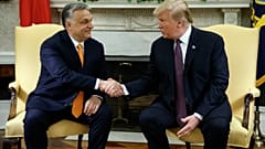 Премьер-министр Венгрии Виктор Орбан встретится с президентом США Дональдом Трампом 13 мая 2019 года 