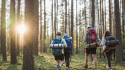 Experience a new side of Europe