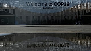 COP29