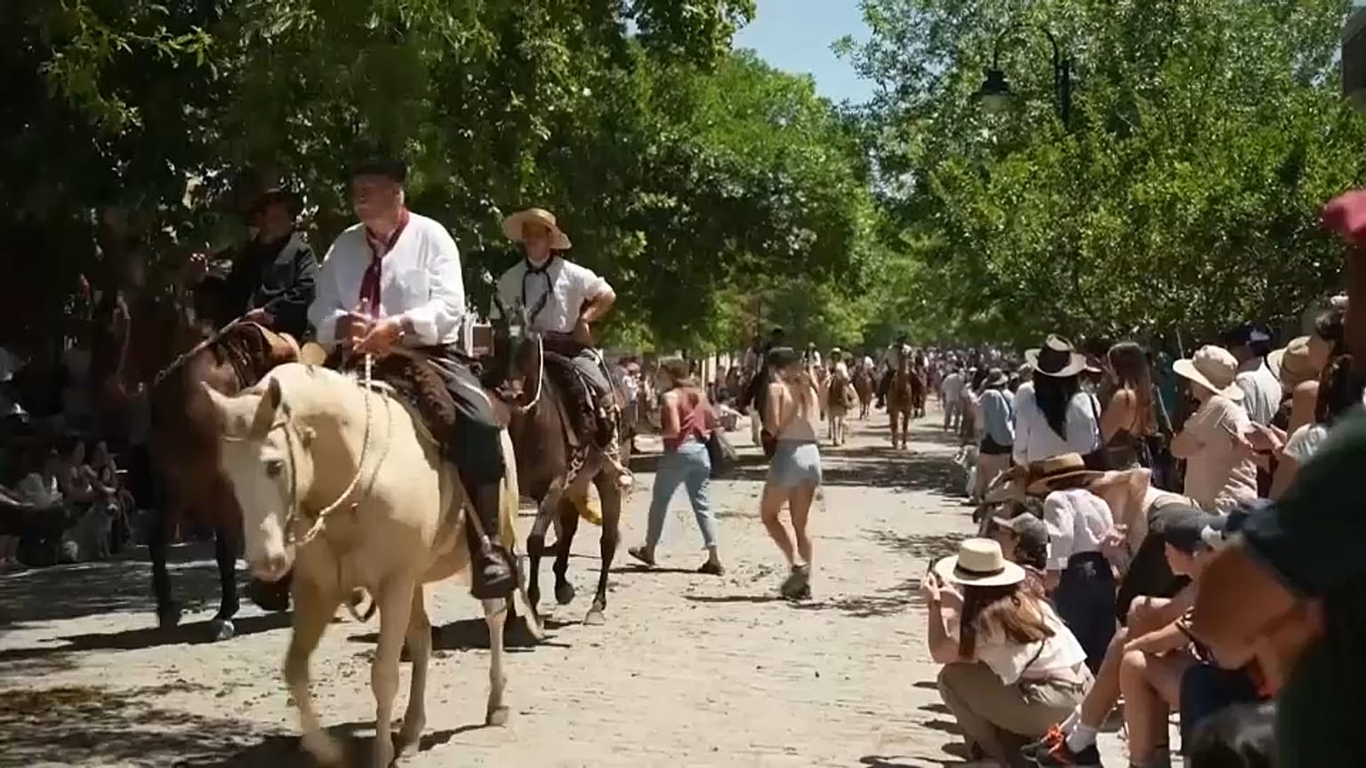 Dia da Tradição