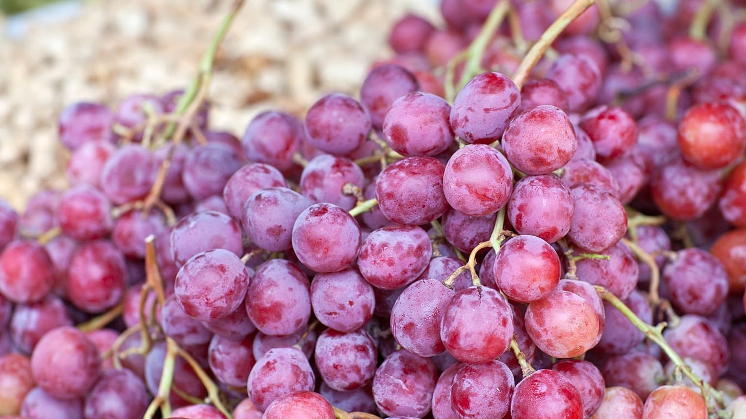 São apresentadas uvas vermelhas.
