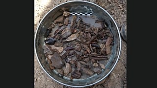 استخوان حیوانات در محل مربوط به ۱۰۰ هزار سال پیش