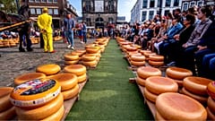 Le marché du fromage de Gouda, vieux de 900 ans, aux Pays-Bas, qui pourrait disparaître à cause du changement climatique au cours du siècle prochain.