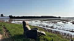 Trajik sel felaketinin ardından Albufera milli parkında enkaz kalıntıları