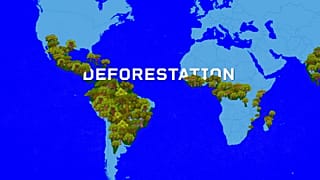 EU DECODED: i compromessi della legge sulla deforestazione in fase di negoziazione