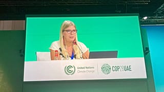 Ürge-Vorsatz Diana a tavalyi COP28-on tart előadást