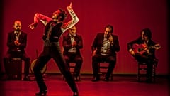 Flamenco