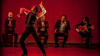 Flamenco