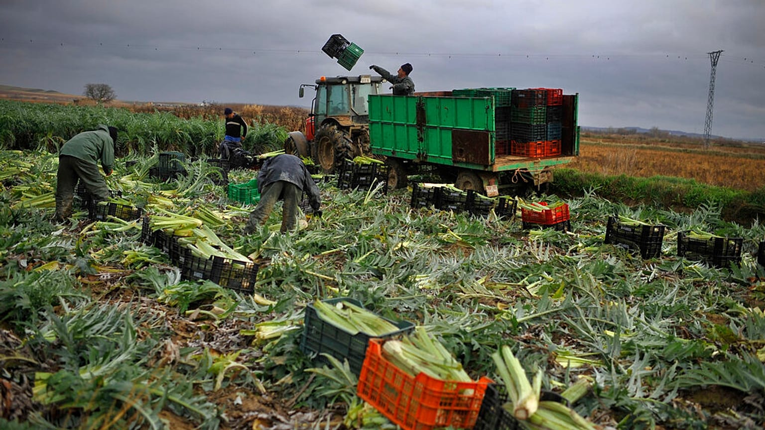 Spanische Landwirte in einem Dateibild. 