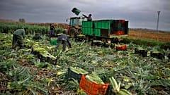 Agricultores espanhóis numa imagem de ficheiro. 