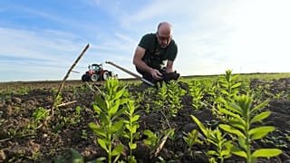Os agricultores biológicos ainda têm hipóteses na Europa?
