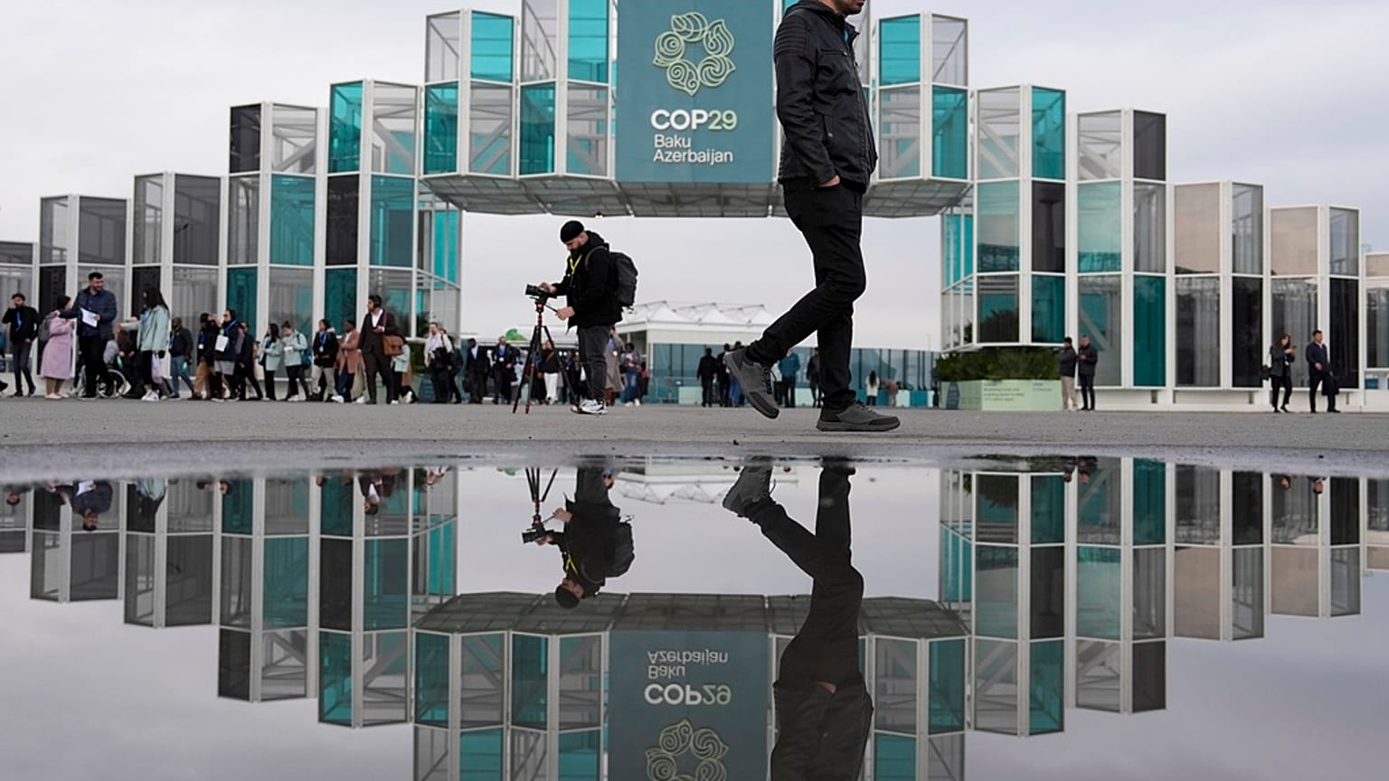 COP29