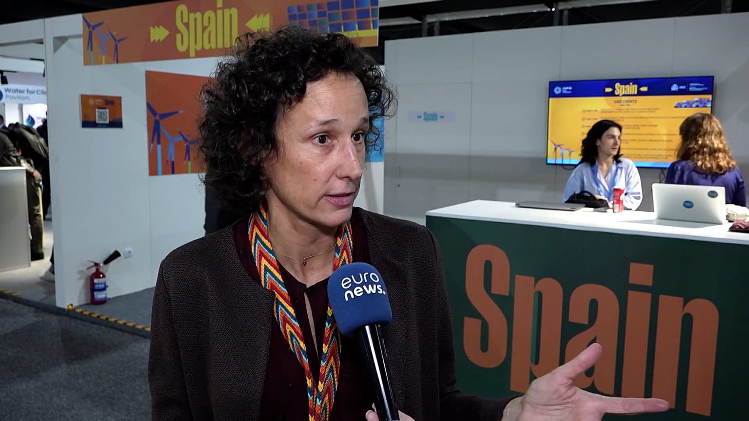 Valvanera Ulargui Aparicio, directora general de la oficina española de cambio climático