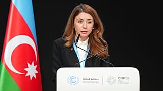 Выступление Светланы Гринчук на COP29 в Баку