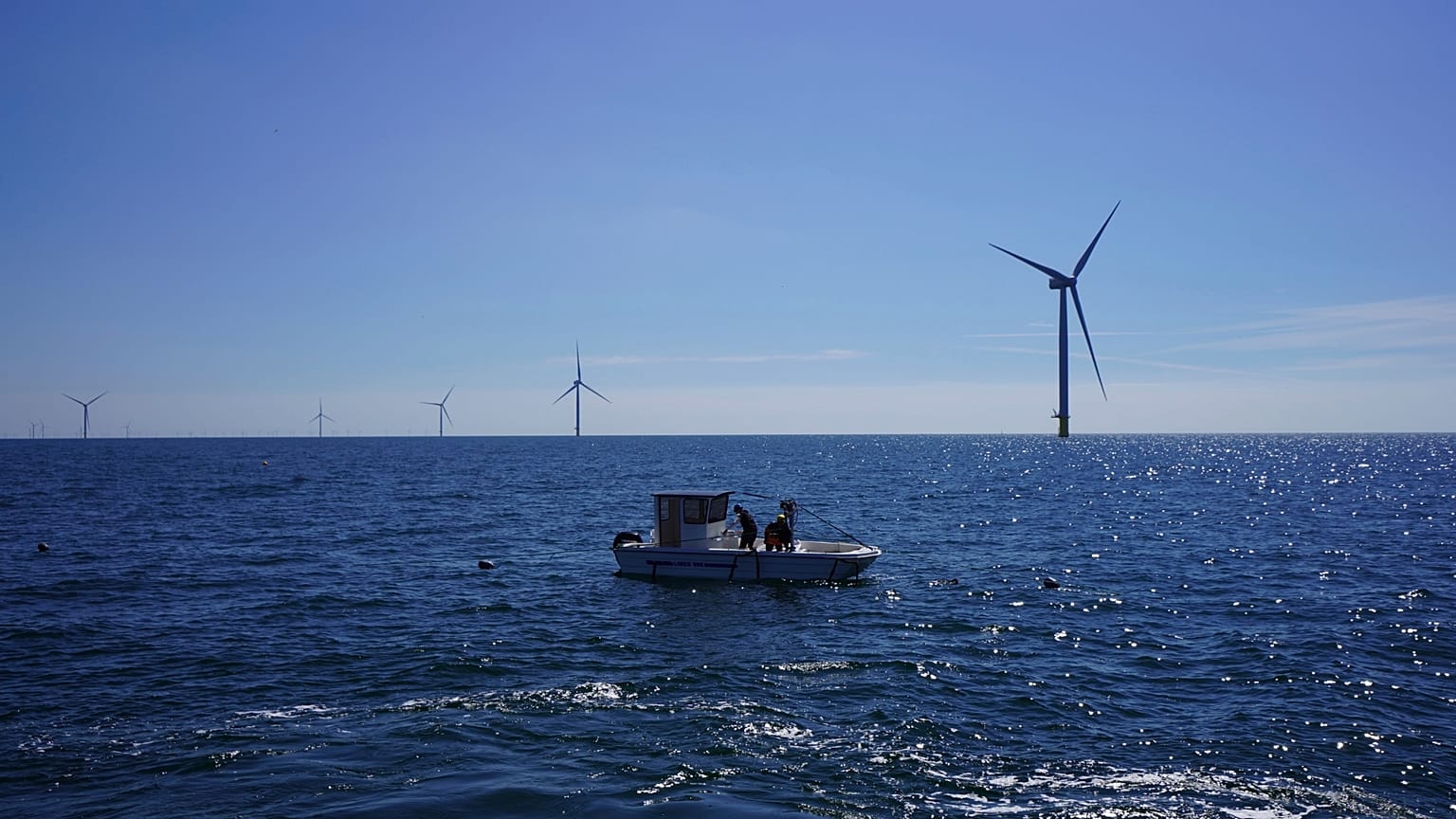 Workers aboard a small boat check lines of seaweed and mussels crops at Kriegers Flak offshore wind farm in Denmark. 