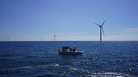 Workers aboard a small boat check lines of seaweed and mussels crops at Kriegers Flak offshore wind farm in Denmark. 