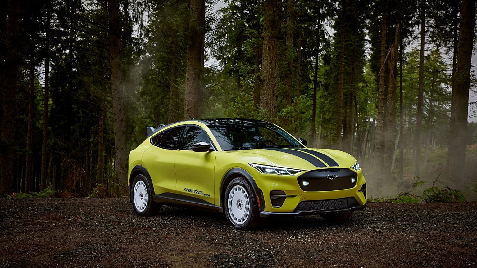 Tamamen elektrikli Ford Mustand Mach-E Rallisi