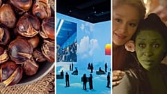 Chestnuts are taking over Portugal, 'Vogue: Inventing the Runway' and 'Wicked'
