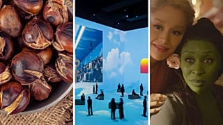 Chestnuts are taking over Portugal, 'Vogue: Inventing the Runway' and 'Wicked'
