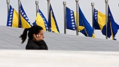 Bosnian flags 