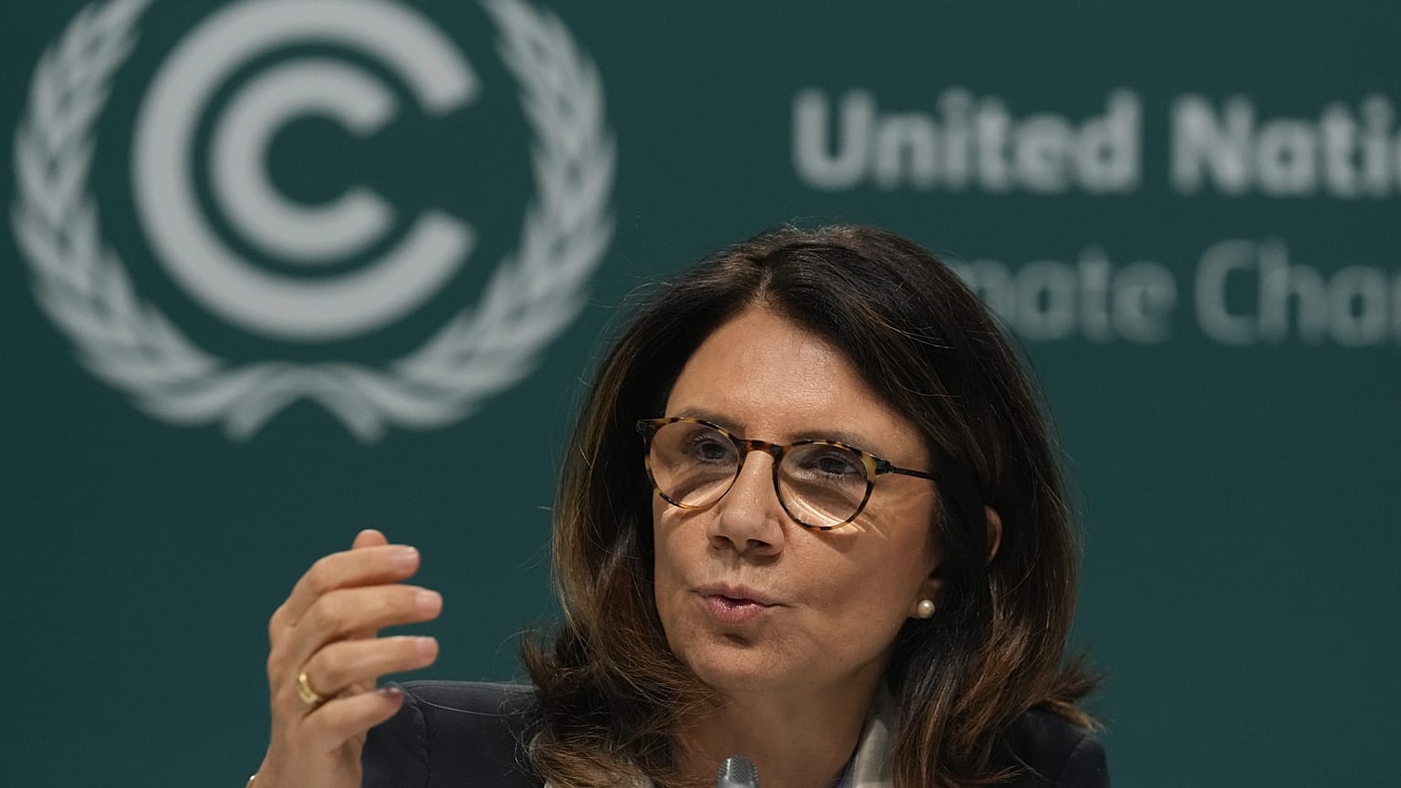 Ana Toni