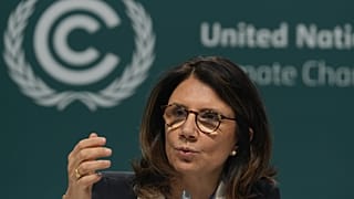 Ana Toni