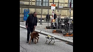 Görsel, sosyal medya platformu X'teki Massimo hesabından alınmıştır.
