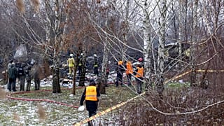 Сотрудники МЧС Литвы работают на месте авиакатастрофы грузового самолета DHL
