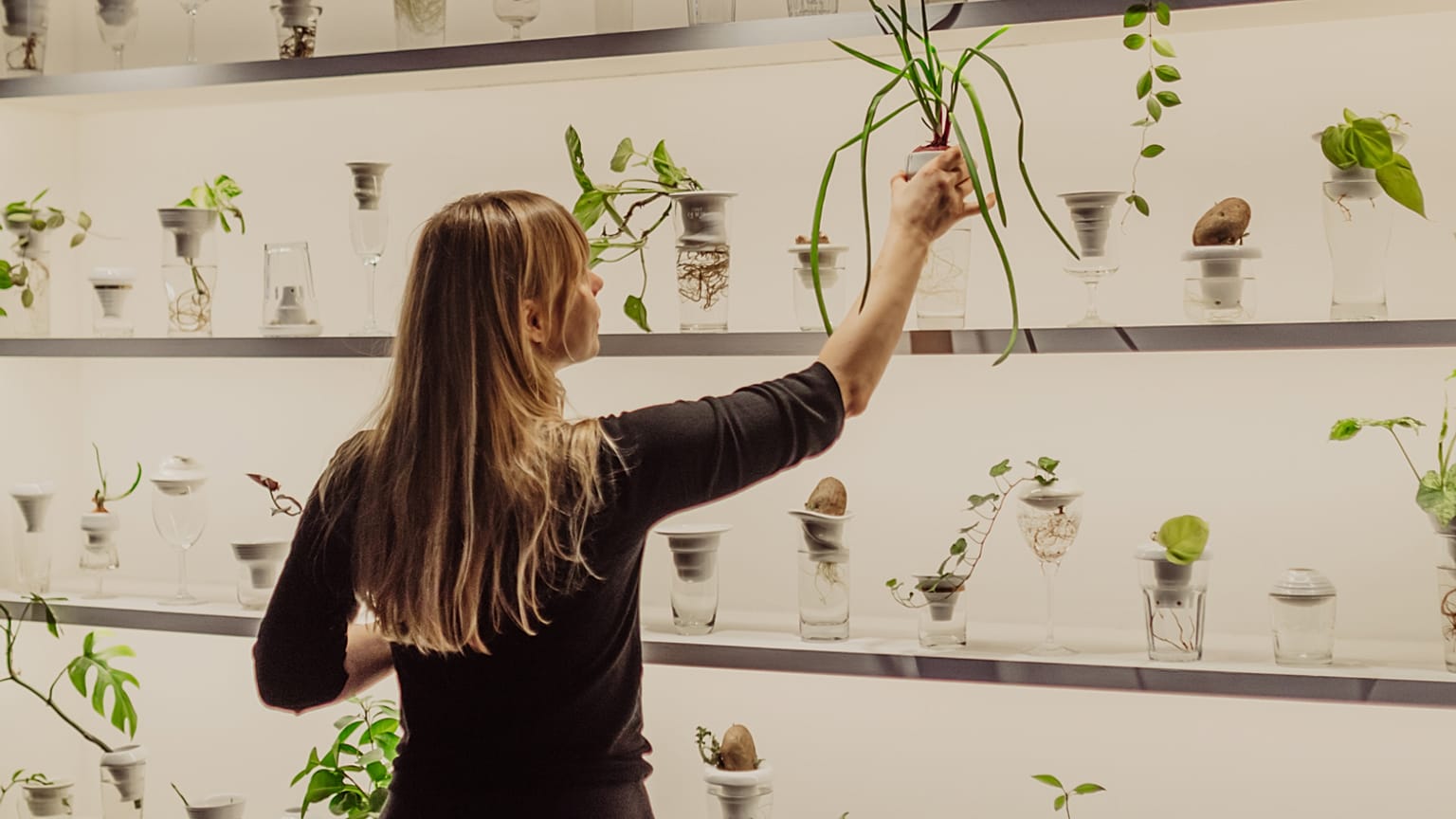 PLANTATION by Alicja Patanowska at the Urban Farmer Project.