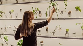 PLANTATION by Alicja Patanowska at the Urban Farmer Project.