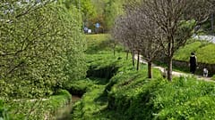 Guimarães é a Capital Verde Europeia 2026