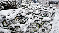 Nevada en Japón.