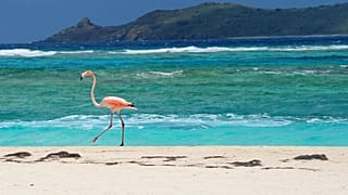 The EU has sought to blacklist foreign tax havens, such as the Virgin Islands